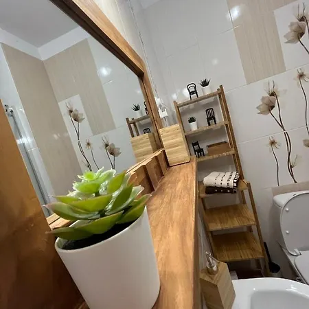 ренета Reneta