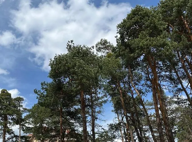 ренета Reneta * Velingrad